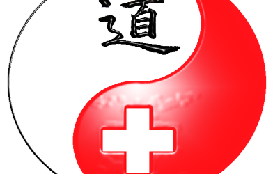 fédération suisse kung fu taichi qi gong et arts martiaux